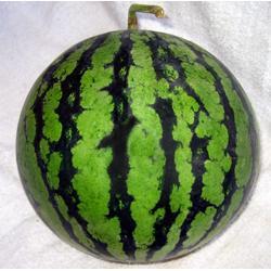 福州西瓜最新爆料,最新爆料揭秘口感与品种大比拼  第2张 福州西瓜最新爆料,最新爆料揭秘口感与品种大比拼  第2张